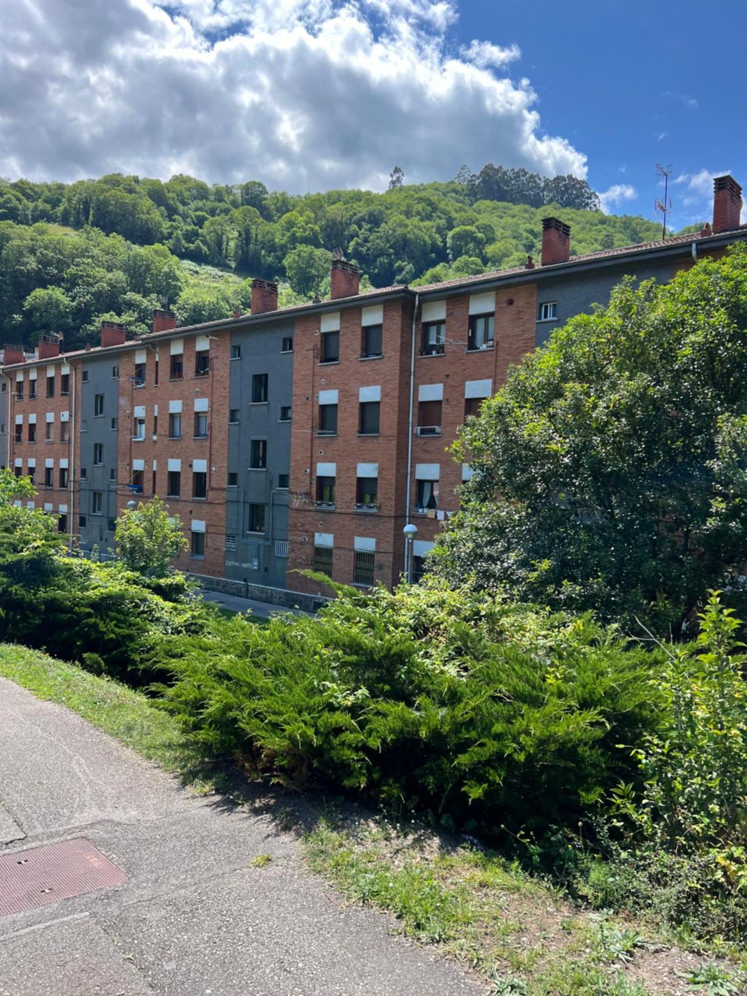 Mountain View Apartment Mieres  Exterior foto