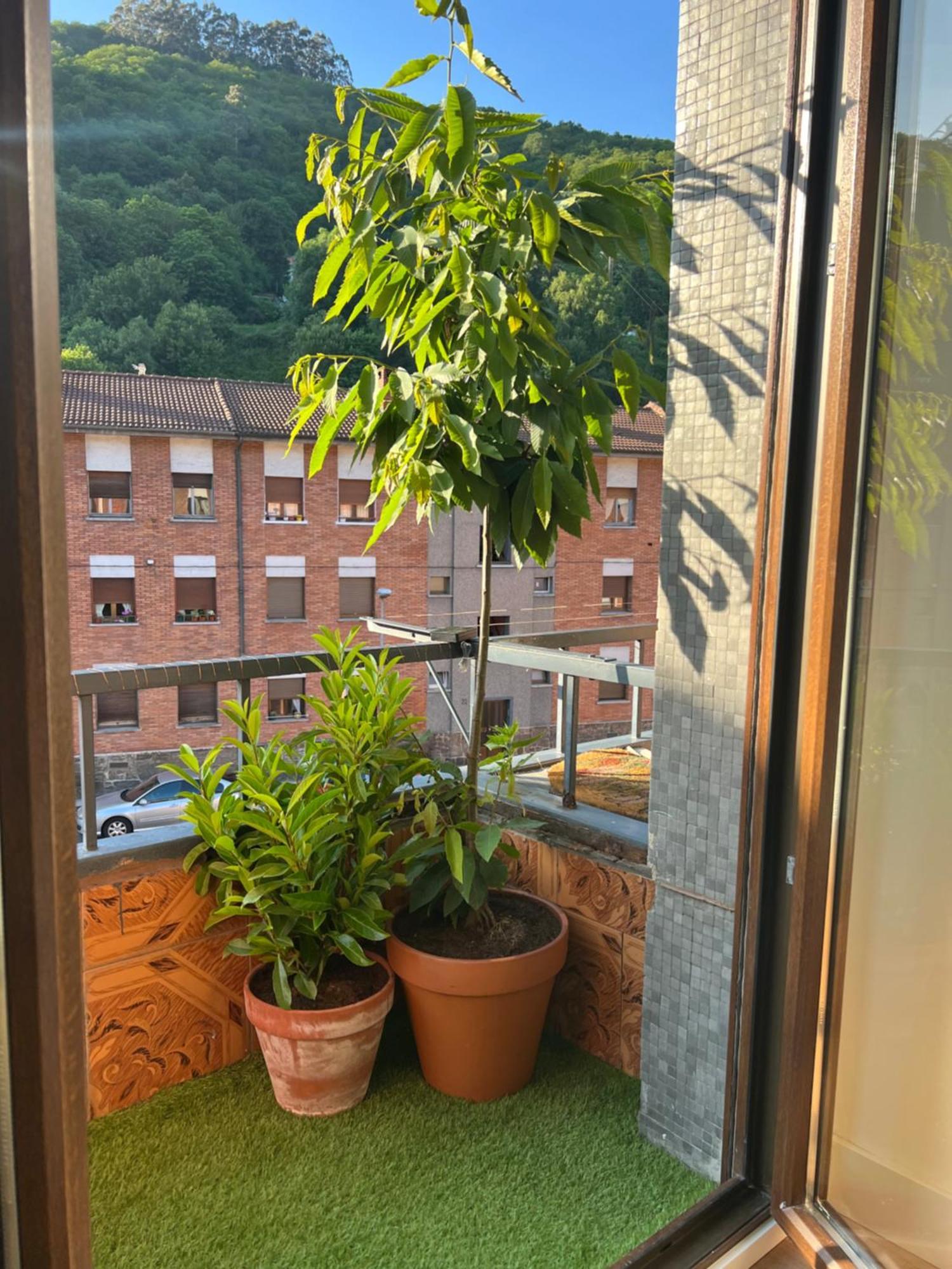 Mountain View Apartment Mieres  Exterior foto